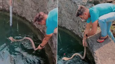 Man Rescues King Cobra Lying on Surface of Water Inside Well With Bare Hands, Chilling Video Surfaces
